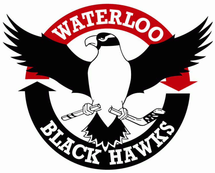 waterloo black hawks 2007-pres primary logo iron on heat transfer